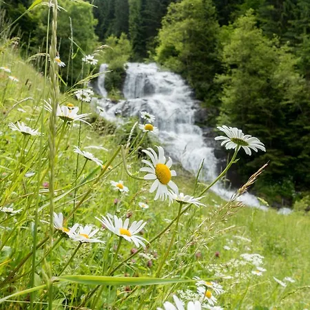 Appartement Antonius - Kinderfreie Lavant