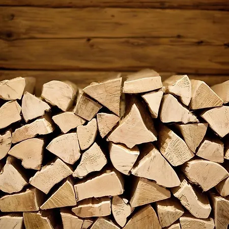 Antonius - Kinderfreie