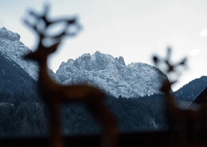 Antonius - Kinderfreie